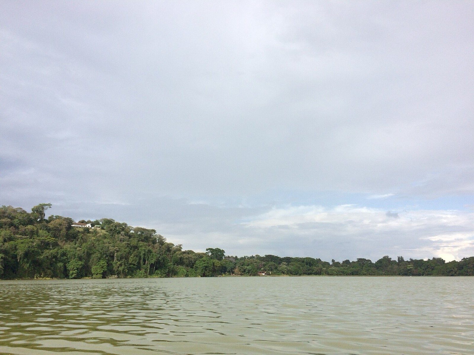 Forest-fringed Lake Duluti, a crater lake near Arusha