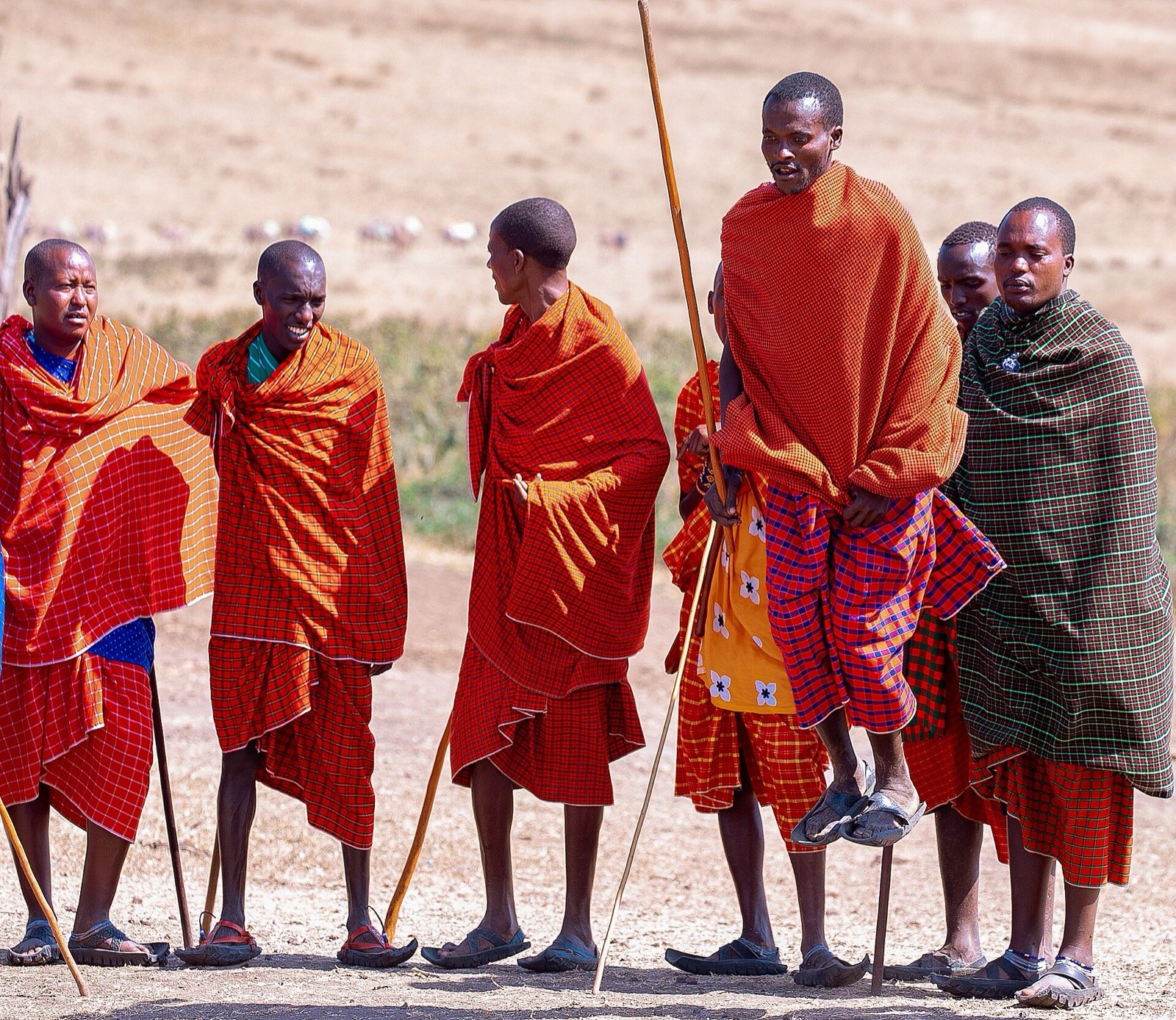 Maasai men in red shukas performing the traditional jumping dance
