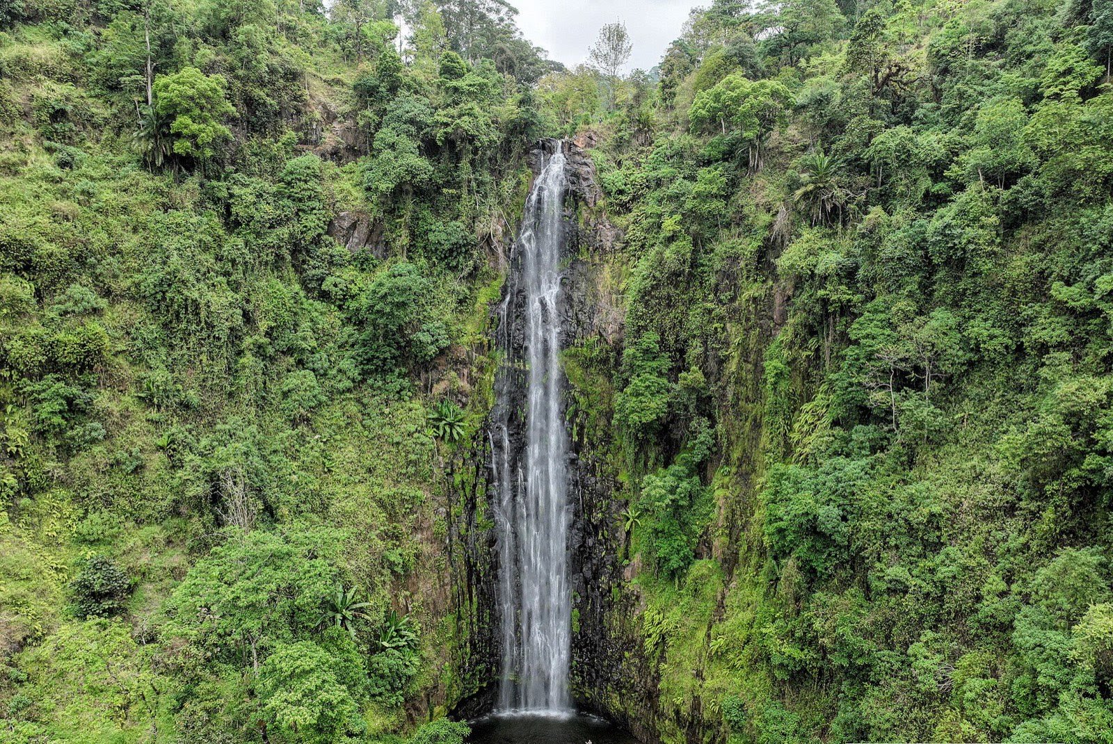Materuni Waterfall dropping through rainforest on Kilimanjaro's slopes