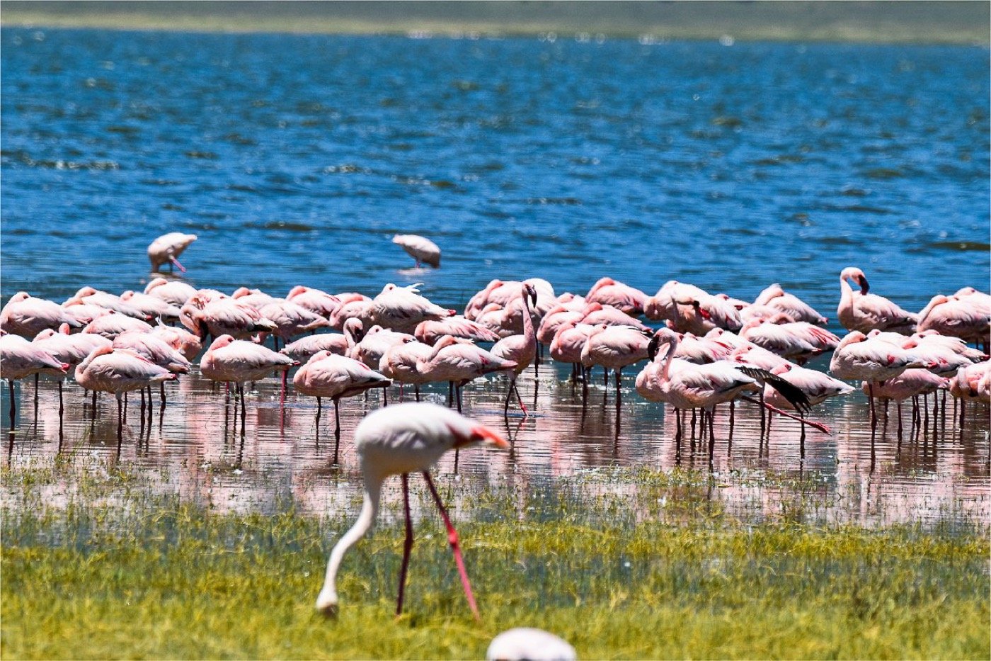 A safari vehicle on the shore of Lake Manyara